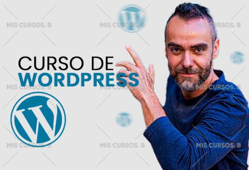 Curso de WordPress de Big Seo 1 curso de wordpress de big seo 651ae6ee3b444