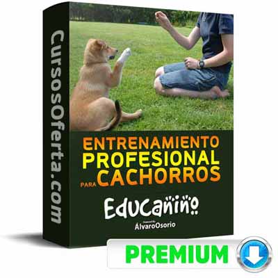 Curso Educanino – Álvaro Osorio 1 curso educanino alvaro osorio 651ae8b43175d