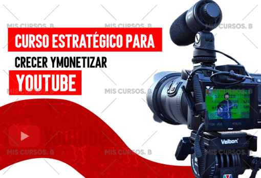 Curso Estratégico Para Crecer Y Monetizar Youtube de Vilma Nuñez 1 curso estrategico para crecer y monetizar youtube de vilma nunez 651ae6d827874