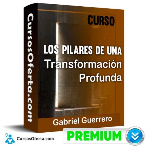 curso los pilares de una transformacion profunda gabriel guerrero 651b0dadc62d8