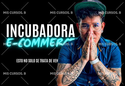 Incubadora E-Commerce de Fabian Hernandez 1 incubadora e commerce de fabian hernandez 651b875983176