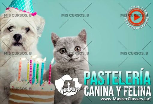 Pastelería Canina y Felina 1 pasteleria canina y felina 651b87cce020f