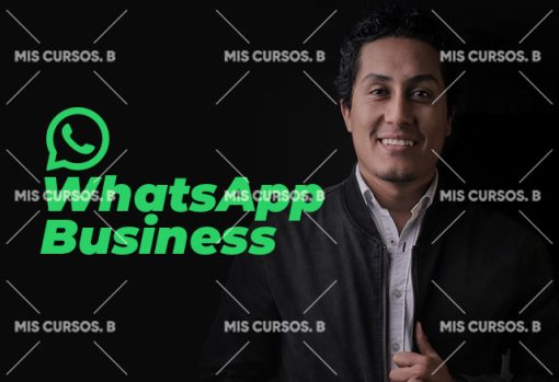 WhatsApp Business de Diego Vallejos 1 whatsapp business de diego vallejos 651b863375b41