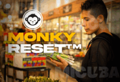 MonkyReset Transformación Integral 