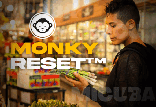 MonkyReset Transformación Integral 