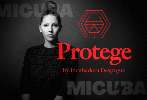 Programa de Certificaciones Protege de Incubadora Despegue